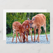 最も可愛い赤ん坊の動物 |ベビー付き サンキューカード (正面/裏面)