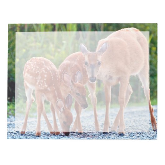 最も可愛い赤ん坊の動物 |ベビー付き ノートパッド (正面)