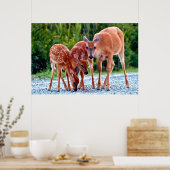 最も可愛い赤ん坊の動物 |ベビー付き ポスター (キッチン)