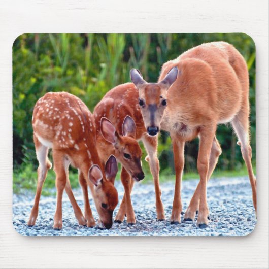 最も可愛い赤ん坊の動物 |ベビー付き マウスパッド (正面)