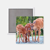 最も可愛い赤ん坊の動物 |ベビー付き マグネット (正面/裏面)