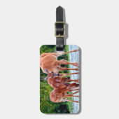 最も可愛い赤ん坊の動物 |ベビー付き ラゲッジタグ (正面縦)