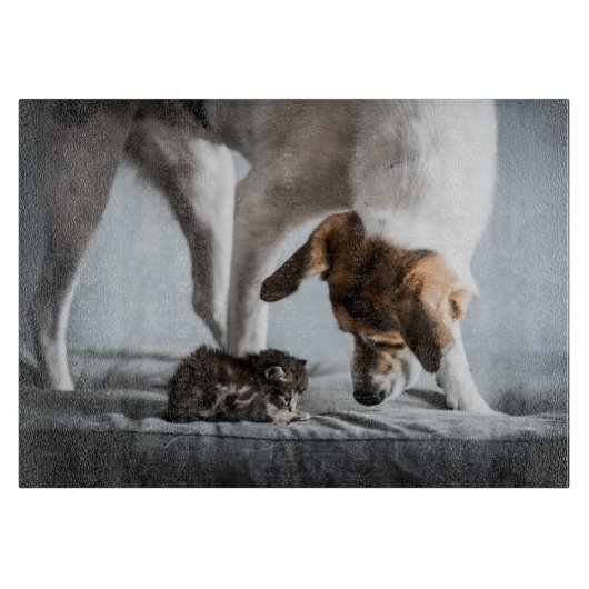 最も可愛い赤ん坊の動物 |ベビー子猫と犬 カッティングボード (正面)