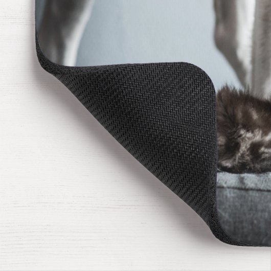 最も可愛い赤ん坊の動物 |ベビー子猫と犬 マウスパッド (コーナー)