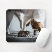 最も可愛い赤ん坊の動物 |ベビー子猫と犬 マウスパッド (マウス)
