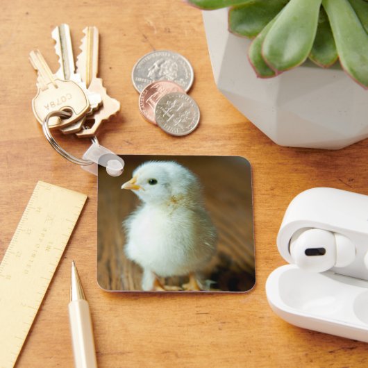 最も可愛い赤ん坊の動物 |ベビー キーホルダー (デスク)