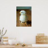 最も可愛い赤ん坊の動物 |ベビー ポスター (キッチン)