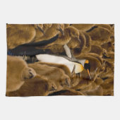 最も可愛い赤ん坊の動物 |ペンギンが若者の間で キッチンタオル (横)