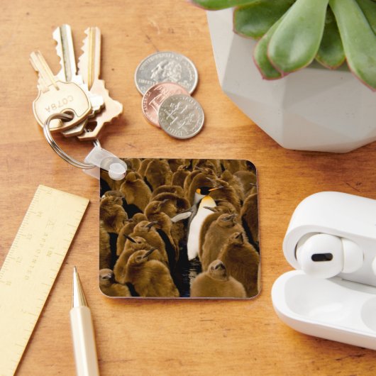 最も可愛い赤ん坊の動物 |ペンギンが若者の間で キーホルダー (デスク)