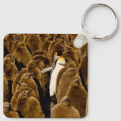 最も可愛い赤ん坊の動物 |ペンギンが若者の間で キーホルダー (裏面)