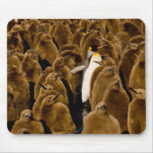 最も可愛い赤ん坊の動物 |ペンギンが若者の間で マウスパッド (正面)