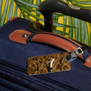 最も可愛い赤ん坊の動物  ペンギンが若者の間で ラゲッジタグ