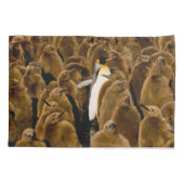 最も可愛い赤ん坊の動物 |ペンギンが若者の間で 枕カバー (裏面)