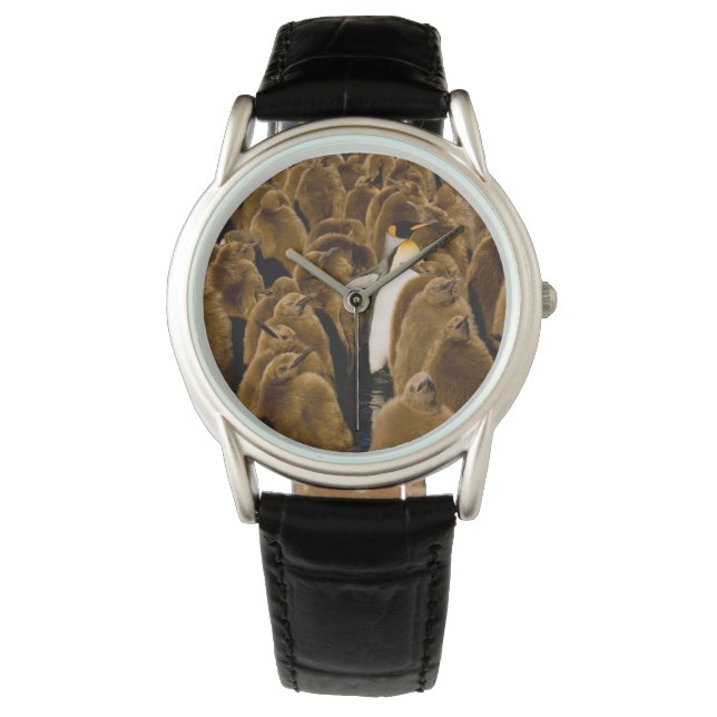 最も可愛い赤ん坊の動物 |ペンギンが若者の間で 腕時計 (正面)