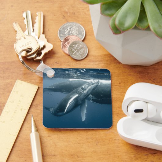 最も可愛い赤ん坊の動物 |ホエールカーフ キーホルダー (デスク)