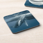 最も可愛い赤ん坊の動物 |ホエールカーフ コースター (左側)