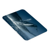 最も可愛い赤ん坊の動物 |ホエールカーフ マグネット (右側)