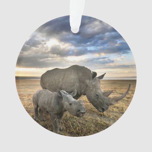 最も可愛い赤ん坊の動物 |ホワイトRhino & Calf オーナメント (正面)