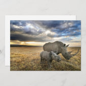 最も可愛い赤ん坊の動物 |ホワイトRhino & Calf サンキューカード (正面/裏面)