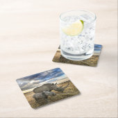 最も可愛い赤ん坊の動物 |ホワイトRhino & Calf スクエアペーパーコースター (インサイチュ)