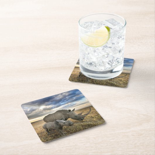 最も可愛い赤ん坊の動物 |ホワイトRhino & Calf スクエアペーパーコースター (インサイチュ)