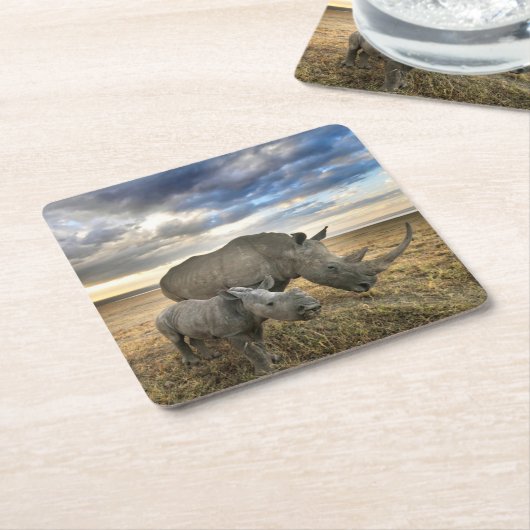 最も可愛い赤ん坊の動物 |ホワイトRhino & Calf スクエアペーパーコースター (アングル)