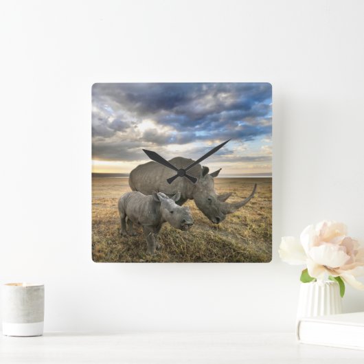 最も可愛い赤ん坊の動物 |ホワイトRhino & Calf スクエア壁時計 (ホーム)