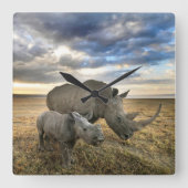 最も可愛い赤ん坊の動物 |ホワイトRhino & Calf スクエア壁時計 (正面)