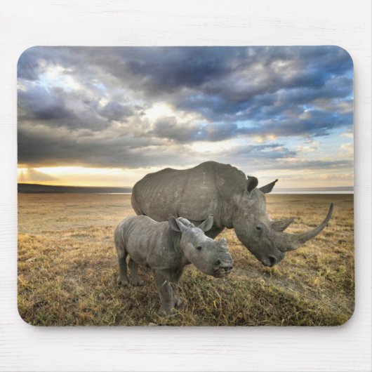 最も可愛い赤ん坊の動物 |ホワイトRhino & Calf マウスパッド (正面)