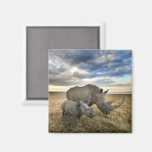 最も可愛い赤ん坊の動物 |ホワイトRhino & Calf マグネット (正面/裏面)