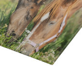 最も可愛い赤ん坊の動物 |ホース子馬 カッティングボード (角)