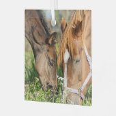 最も可愛い赤ん坊の動物 |ホース子馬 ガラスオーナメント (正面左)