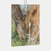 最も可愛い赤ん坊の動物 |ホース子馬 ガラスオーナメント (正面右)