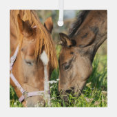 最も可愛い赤ん坊の動物 |ホース子馬 ガラスオーナメント (裏面)