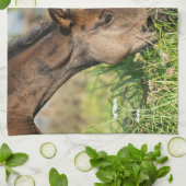 最も可愛い赤ん坊の動物 |ホース子馬 キッチンタオル (折り畳み)