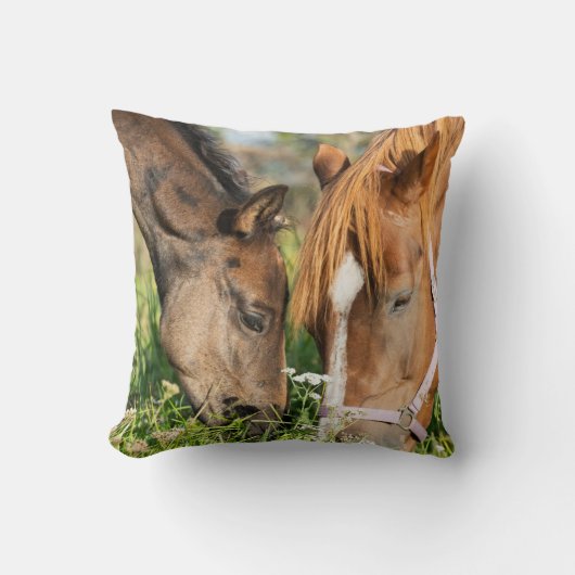 最も可愛い赤ん坊の動物 |ホース子馬 クッション (正面)