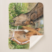 最も可愛い赤ん坊の動物 |ホース子馬 シェルパブランケット (正面)