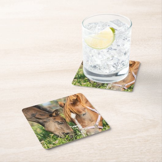 最も可愛い赤ん坊の動物 |ホース子馬 スクエアペーパーコースター (インサイチュ)