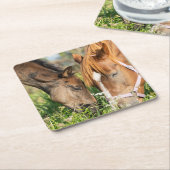 最も可愛い赤ん坊の動物 |ホース子馬 スクエアペーパーコースター (アングル)