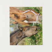 最も可愛い赤ん坊の動物 |ホース子馬 タペストリー (正面)