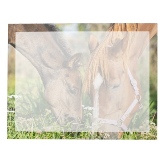 最も可愛い赤ん坊の動物 |ホース子馬 ノートパッド (正面)