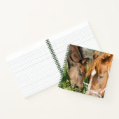 最も可愛い赤ん坊の動物 |ホース子馬 ノートブック (内部)