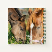 最も可愛い赤ん坊の動物 |ホース子馬 ノートブック (裏面)