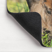 最も可愛い赤ん坊の動物 |ホース子馬 マウスパッド (コーナー)