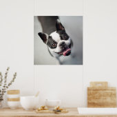 最も可愛い赤ん坊の動物 |ボストンブルドッグスマイル ポスター (キッチン)