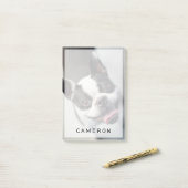 最も可愛い赤ん坊の動物 |ボストンブルドッグスマイル ポストイット (デスク上)