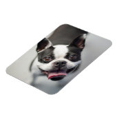 最も可愛い赤ん坊の動物 |ボストンブルドッグスマイル マグネット (左側)