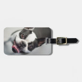 最も可愛い赤ん坊の動物 |ボストンブルドッグスマイル ラゲッジタグ (正面横)