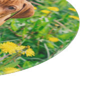 最も可愛い赤ん坊の動物 |ポインタの子犬 カッティングボード (角)