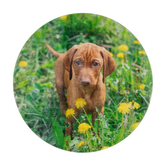 最も可愛い赤ん坊の動物 |ポインタの子犬 カッティングボード (正面)